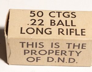 DND .22LR ammunition (100)