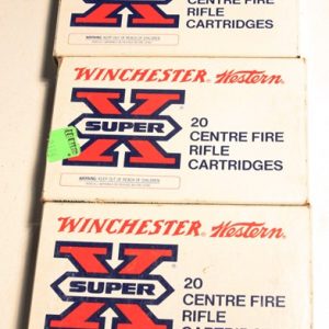 300 Winchester Magnum (60)