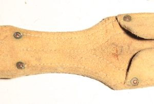 South Africa leather frog