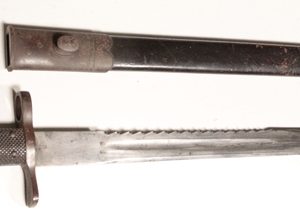 Martini M1875 sawback bayonet