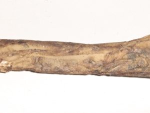 Lee Enfield No. 9 Mk 1 bayonet in factory wrap