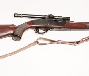 Remington Nylon 66