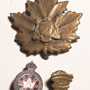 WWII veterans pins and cap badge