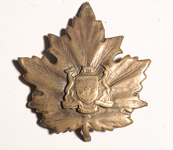 WWII veterans pins and cap badge - Image 2
